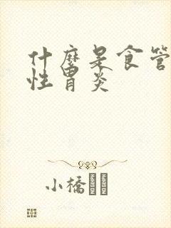 什么是食管反流性胃炎