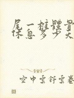 尾一椎体骨折要休息多少天