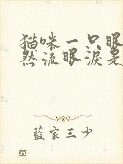 猫咪一只眼睛突然流眼泪是怎么回事