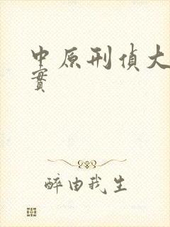 中原刑侦大案纪实