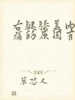 右腿膝盖内侧疼痛的原因有三种