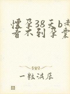 怀孕38天b超看不到孕囊正常吗封面