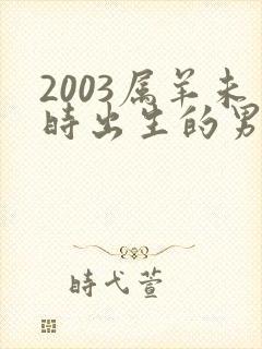 2003属羊未时出生的男孩命运如何