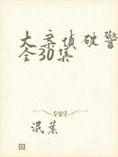 大案侦破警示录全30集