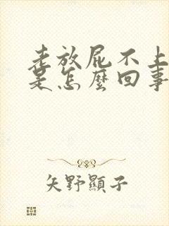 老放屁不上大便是怎么回事