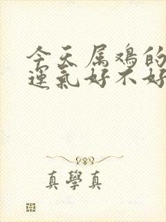 今天属鸡的打牌运气好不好