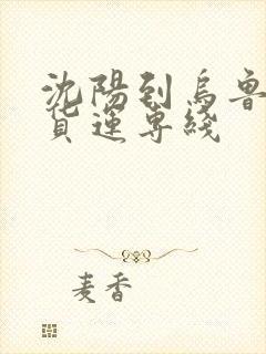 沈阳到乌鲁木齐货运专线封面