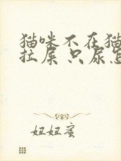 猫咪不在猫砂盆拉屎 只尿怎么办