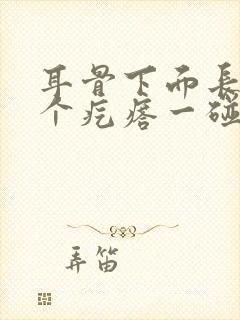 耳骨下面长了一个疙瘩一碰就疼封面