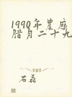 1990年农历腊月二十九女生的命运