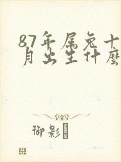 87年属兔十一月出生什么命