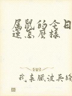 属鼠的今日偏财运怎么样