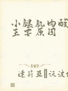 小腿肌肉酸痛的主要原因