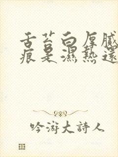 舌苔白厚腻有齿痕是湿热还是寒湿封面