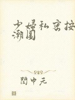 少妇私密按摩高潮图