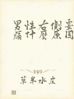 男性右侧睾丸疼痛什么原因封面