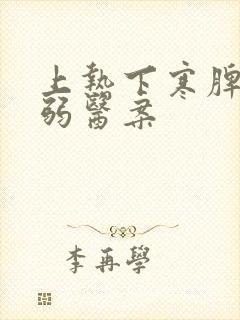 上热下寒脾胃虚弱医案