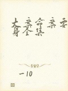 大案命案要案在身全集