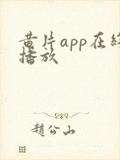 黄片app在线播放