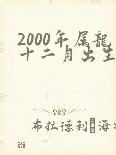 2000年属龙十二月出生的命运