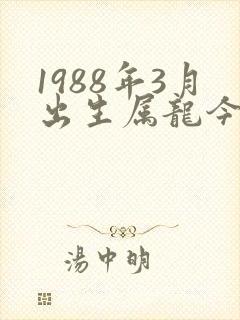 1988年3月出生属龙今年运势