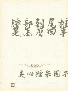 腰部到尾椎骨疼是怎么回事