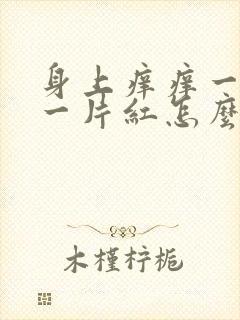 身上痒痒一挠就一片红怎么办