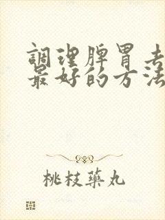 调理脾胃去湿气最好的方法