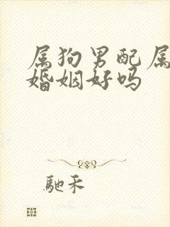 属狗男配属牛女婚姻好吗