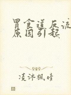 胃食道反流什么原因引起