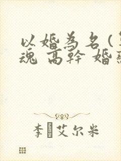 以婚为名 (军魂 高干 婚恋)