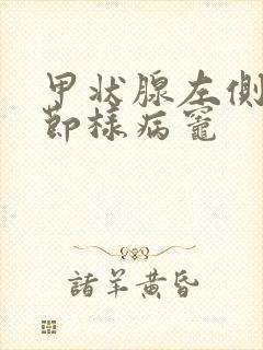 甲状腺左侧叶结节样病灶