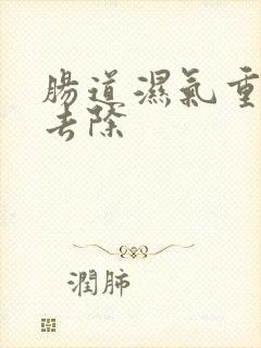 肠道湿气重怎么去除