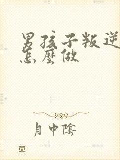 男孩子叛逆期该怎么做封面