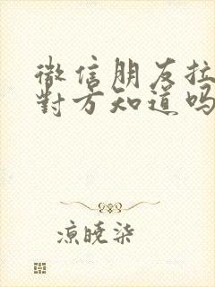 微信朋友拉黑了对方知道吗