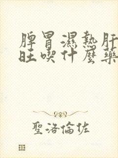 脾胃湿热肝胆火旺吃什么药