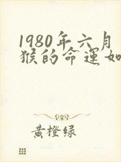 1980年六月猴的命运如何