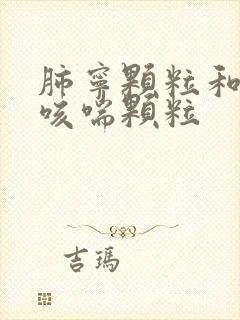 肺宁颗粒和肺热咳喘颗粒