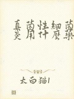 真菌性细菌性阴炎用什么药