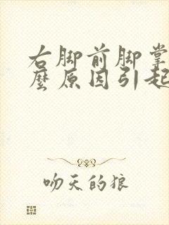 右脚前脚掌痛什么原因引起的封面