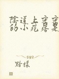 阴道上密密麻麻的小疙瘩是什么