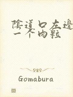 阴道口左边长了一个肉粒