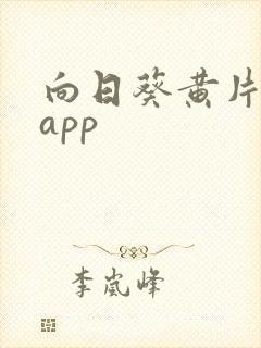 向日葵黄片软件app封面