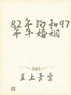 82年狗和97年牛婚姻