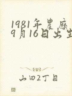 1981年农历9月16日出生是什么命