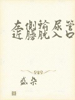 左侧输尿管下段近膀胱入口处结石