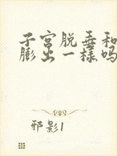 子宫脱垂和阴壁膨出一样吗