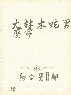 大林木蛇男是什么命