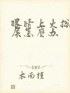 眼睛上火总有眼屎怎么办封面