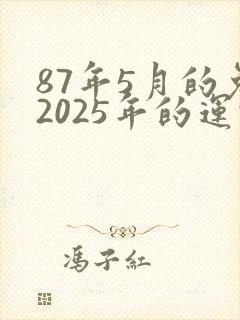 87年5月的兔2025年的运势怎么样封面